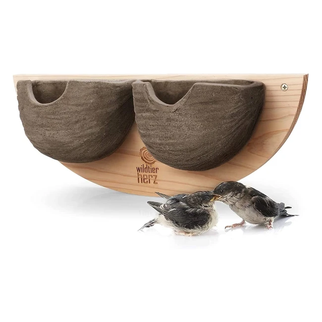 Nichoir pour hirondelle en bois résistant aux intempéries - Double nid - Fixation murale
