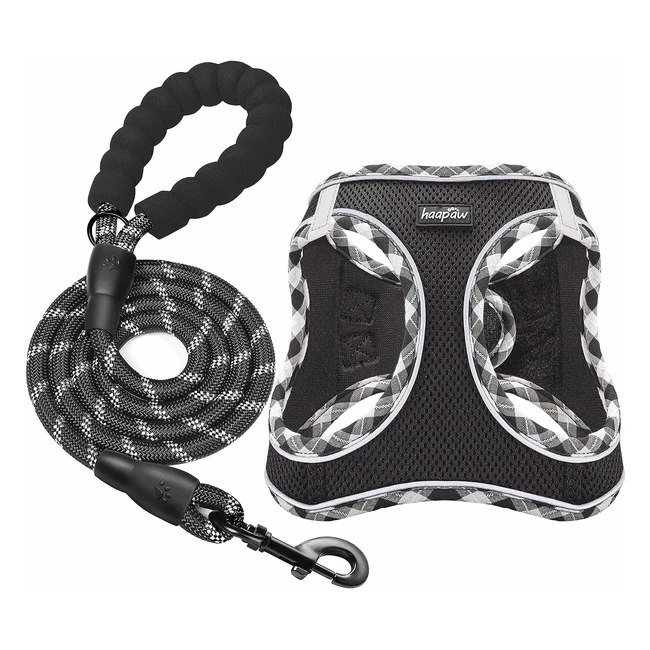 Ensemble harnais et laisse pour chien - Réfléchissant et réglable - Taille XS et moyenne