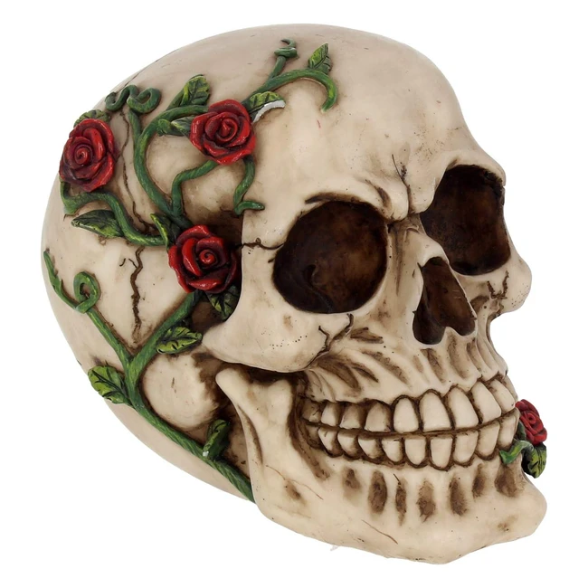 Figurine Rose Nemesis Now Ivoire 165 cm - Tête de mort en résine peinte à la main