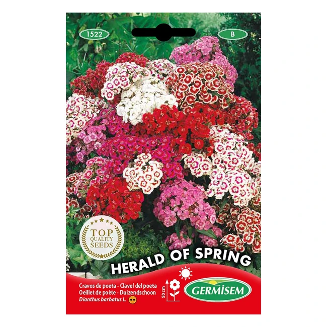 Graines Oeillet de Poète Herald of Spring - Plante Bisannuelle - 50 cm - Look Unique et Beau