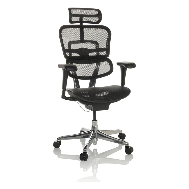 HJH Office Ergohuman Edition 652272 Bürostuhl ergonomisch mit flexibler Lendenstütze Schwarz