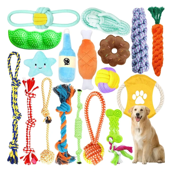 Ensemble de jouets pour chien - Lot de 18 - Indestructible - Jouets interactifs - Dentaire