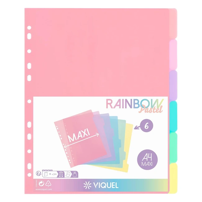 Set 6 Divisori Plastica Rainbow Pastel Maxi 245x305cm - Viquel