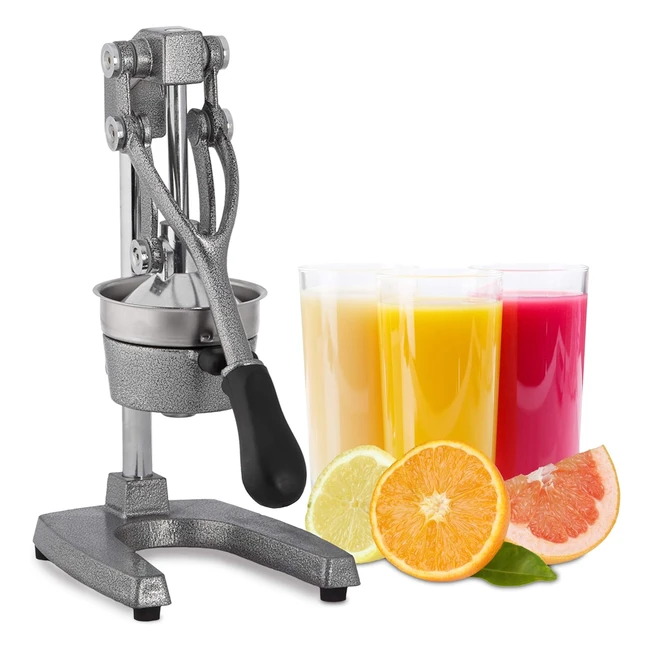 Presse-fruits manuel avec levier - Relaxdays - Qualité gastronomie - Argent
