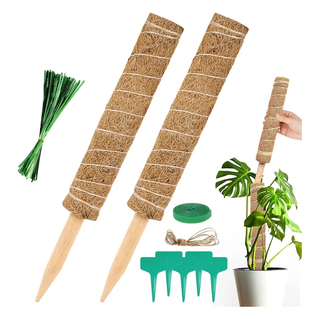 Tutores para Plantas Vicloon - Soporte de Musgo y Coco - 2pcs 40cm - Ideal para 