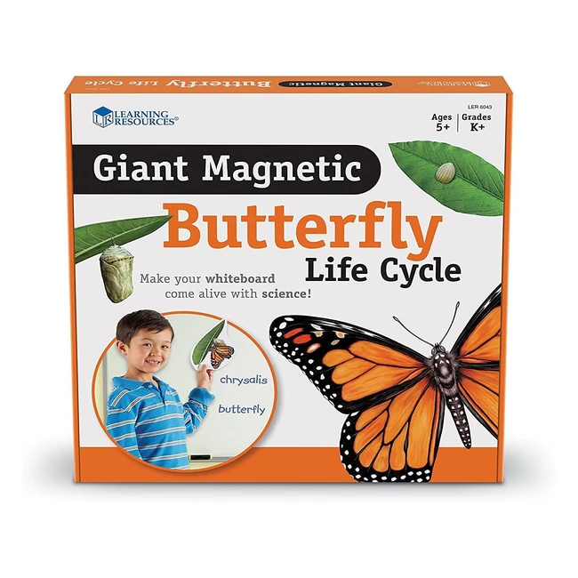 Cycle de vie papillon aimants gants Learning Resources