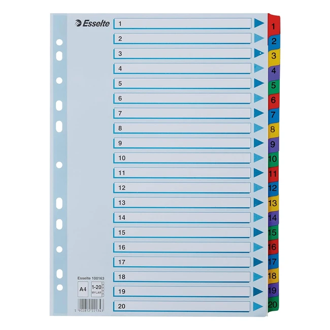 Esselte A4 120 Index Resistente con Linguette Rinforzate - Colore Blu