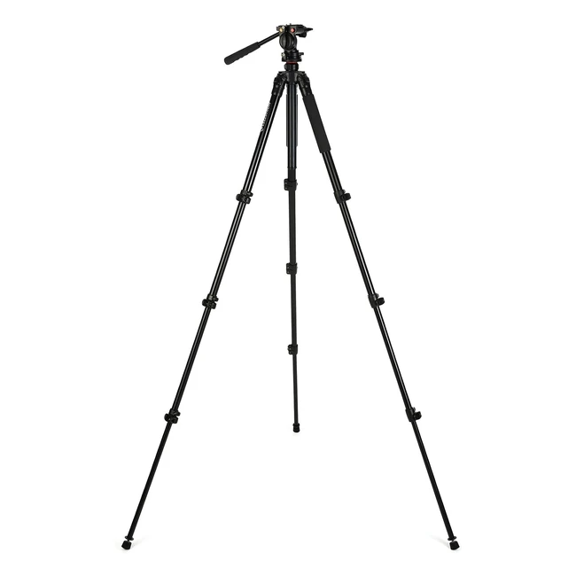 Celestron 82052 Regal Premium Trépied Noir - Support idéal pour longue-vue, lunette binoculaire, appareil photo et petit télescope