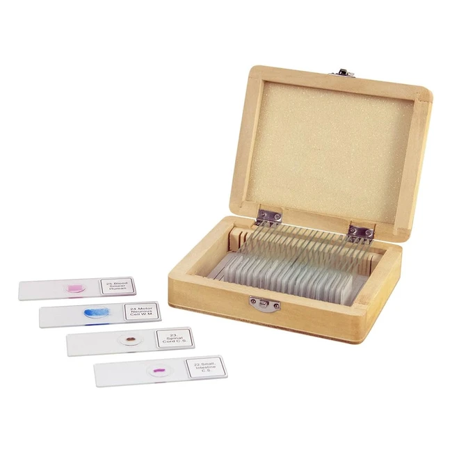 Celestron 44410 Prepared Microscope Slides Pack of 25 - Explore the World of Microscopy