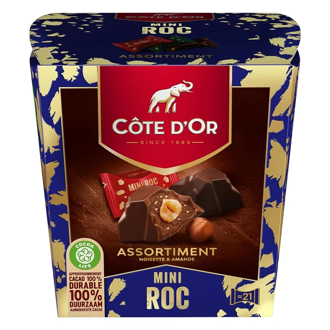 CTE DOR Mini Roc Mix - Assortiments de Chocolats - Lait Praliné Noir - Idée Cadeau Noël - 1 Boîte 279g
