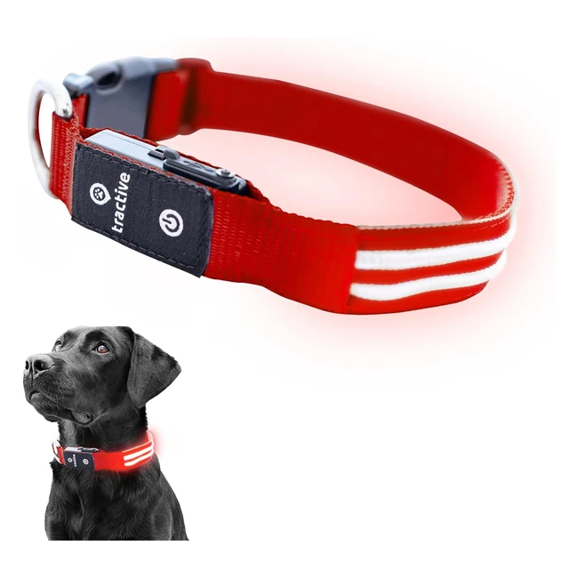 Collier chien LED lumineux Tractive rechargeable USB tanche rouge