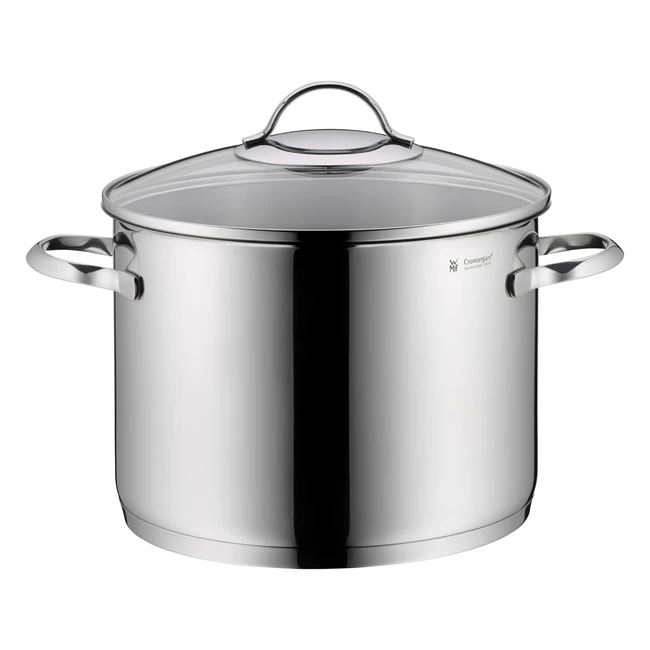 WMF Provence Plus - Olla para Verduras 24cm 88L
