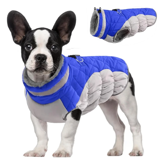 Giacche Invernali per Cani Dolahovy - Calde e Antivento - Taglia Chihuahua