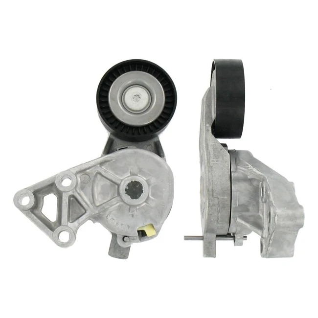 Kit de galet enrouleur SKF VKM 31019 - Rparation de qualit