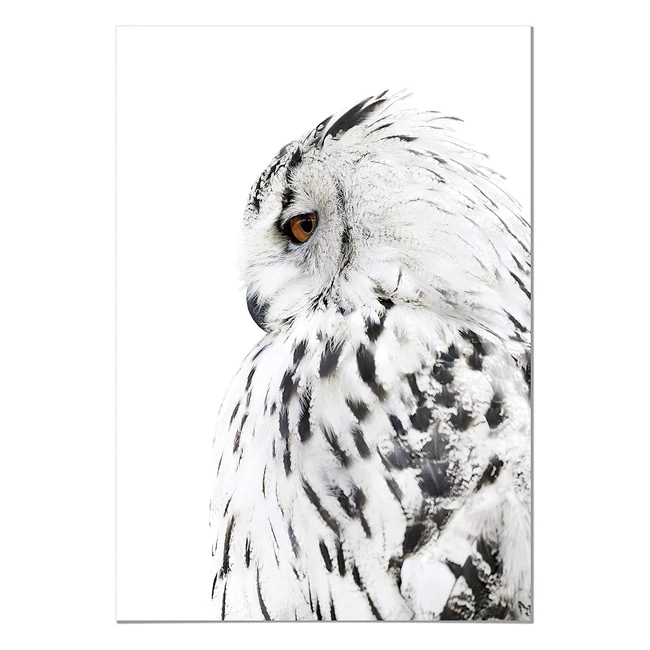 Tableau Chouette Droite 50x70cm - Qualité Supérieure - Art Moderne pour la Maison