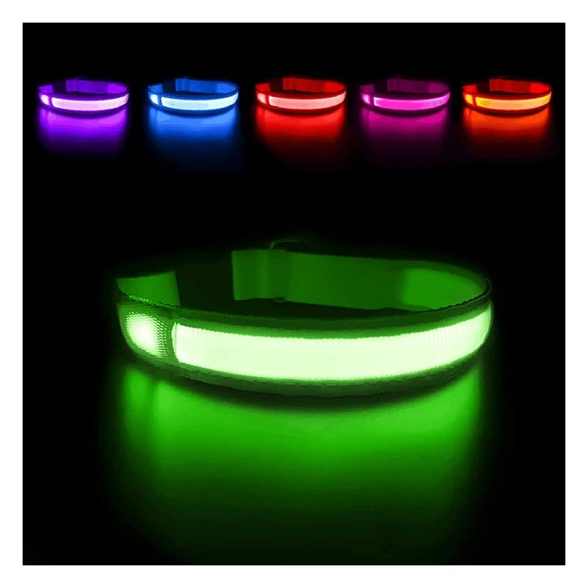 Collier chien lumineux rechargeable et tanche LED clignotant - Masbrill