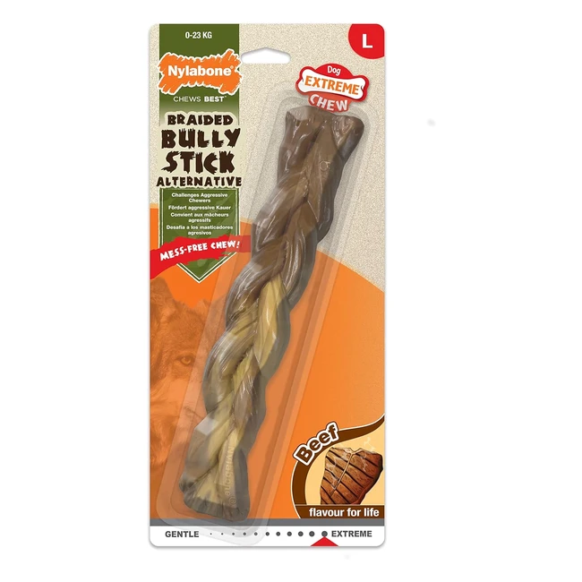 Juguete masticable Nylabone para higiene dental de perros | Resistente y duradero | Sabor a ternera | Perros adultos hasta 23kg