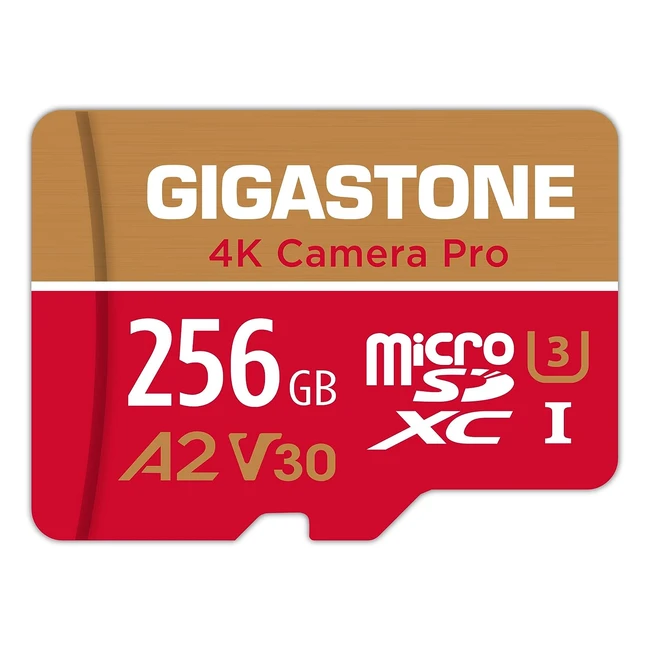 Carte mémoire Gigastone 256 Go 4K Pro Vitesse jusqu'à 100 Mo/s pour GoPro DJI Drone - Réf. A2 V30 U3