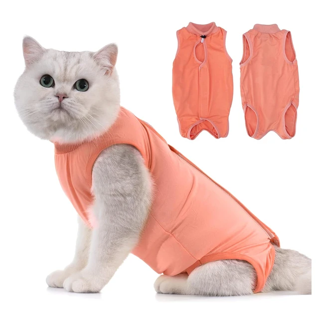Combinaison de rcupration pour chat aprs chirurgie - Avont Body Chat Post 