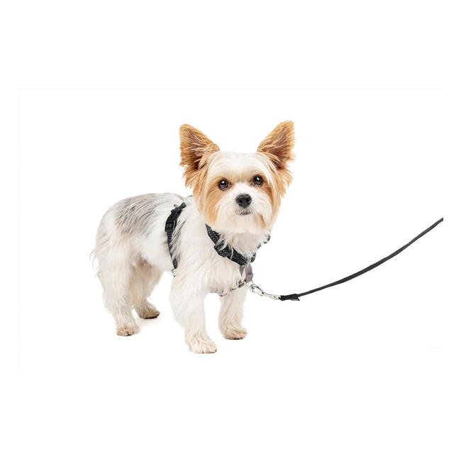 Imbracatura Petsafe 3 in 1 per cani antitiro regolabile - Sicurezza e comfort pe
