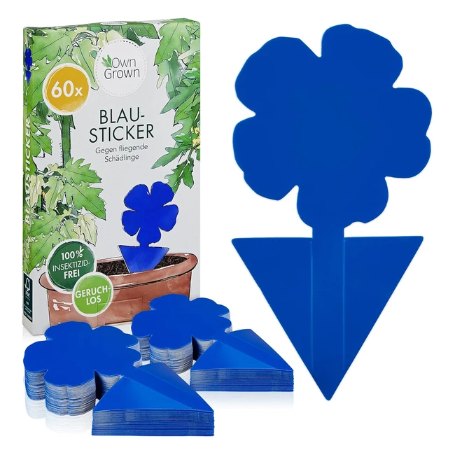 Blautafeln Thrips Control 60 x Insektenfrei Klebefallen fr Zimmerpflanzen Sch