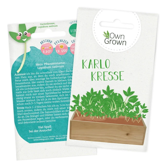 Premium Garten Kresse Samen - 1200x Kressesamen für Kinder und Erwachsene - Kräuter Saatgut
