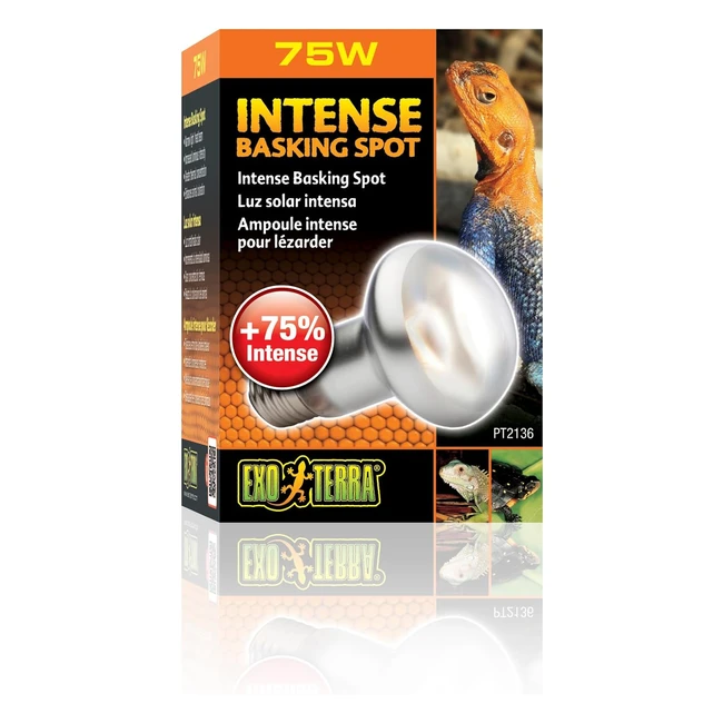 Intense Basking Spot Lamp 75W - Exo Terra - Increase Light & Heat - Thermoregulation