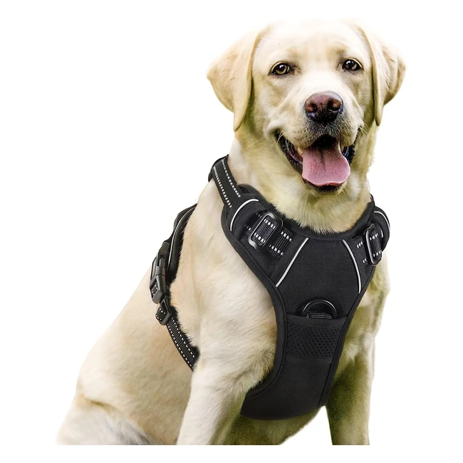 rabbitgoo Dog Harness Large Dog No Pull Pet Harness with 2 Leash Clips - Adjustable, Soft Padded, Reflective