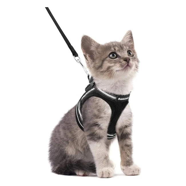 rabbitgoo Cat Harness and Lead Set - Adjustable Soft Kitten Vest with Reflective Strip - XS
