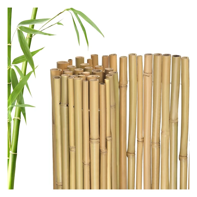 Jarolift Premium Sichtschutzmatte Bambus 140x300cm - Nachhaltiger Windschutz f