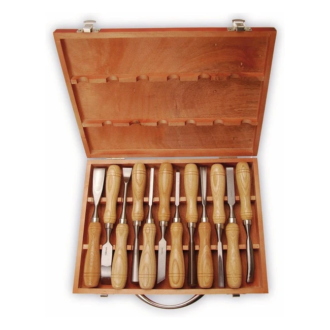 Set di formoni 12 pezzi per intaglio - Qualit professionale