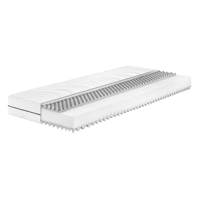 Badenia Trendline BT260 7-Zonen Kaltschaummatratze Stiftung Warentest Gut 032022 H3 80x200 cm