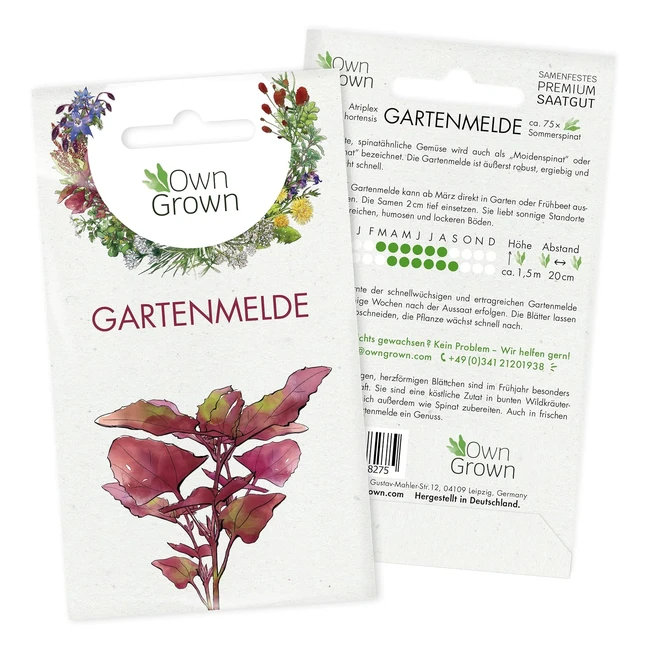Garten Melde Samen - Perennial Garten Melde Samen fr 75 Kruterpflanzen - Wil