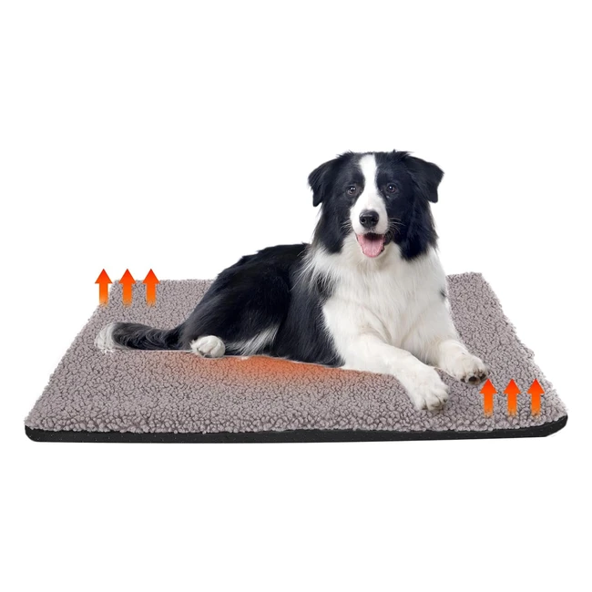 Coperta Autoriscaldante Gatto Cane 4 Strati Morbido Peluche Calore Riflettente