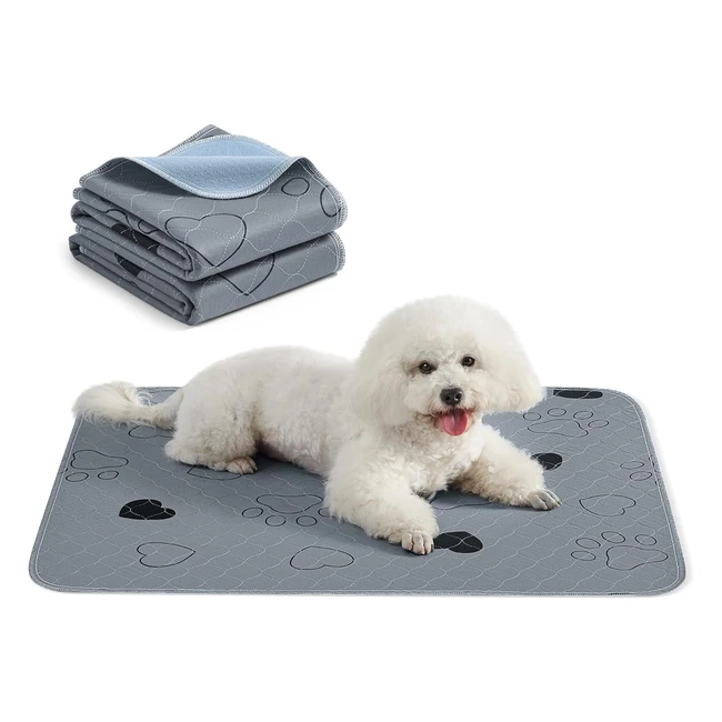 Feandrea Washable Dog Training Pads 2 Pack - Waterproof & Reusable - Super Absorbent - PTD034G01