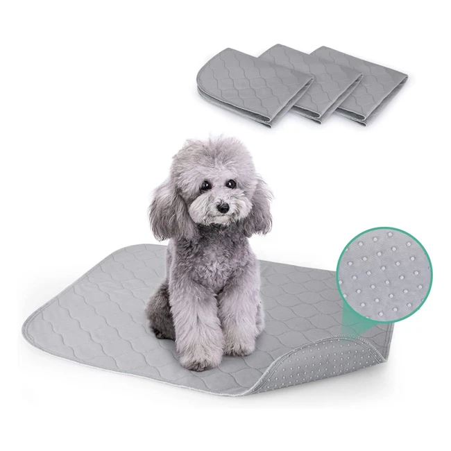 Almohadillas de Entrenamiento Lavables para Perros - Pack de 3 - Reutilizable - Absorbente - Antideslizante - 60x45cm - Gris