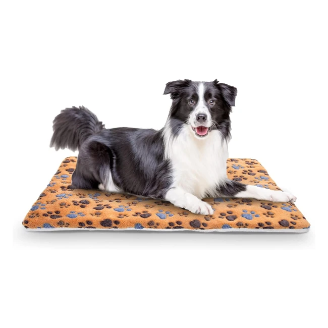 Colchoneta Nobleza para Perros - Esterilla Gruesa Reversible - L100W75cm