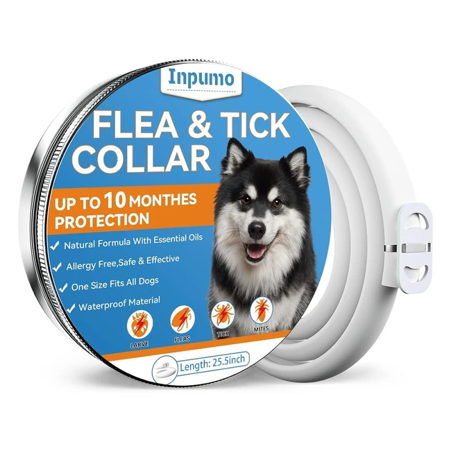 Collar Antiparasitario Perros Mejorado con Aceites Esenciales Naturales 10 Meses de Protección 65 cm