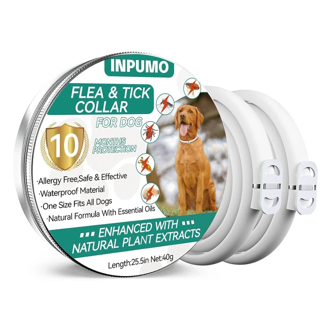 Collare Antiparassitario Regolabile Cani Piccoli Medi Grandi 10 Mesi Impermeabile Naturale Anti Zecche