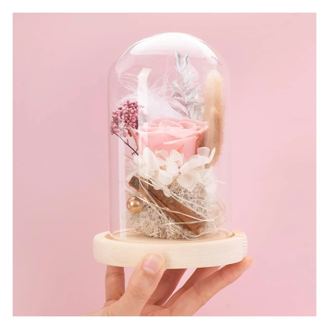 Rosa Eterna Natural Preservada con Luz LED - Hecho a Mano - Regalo Romántico para Mujer - Madres - Aniversario