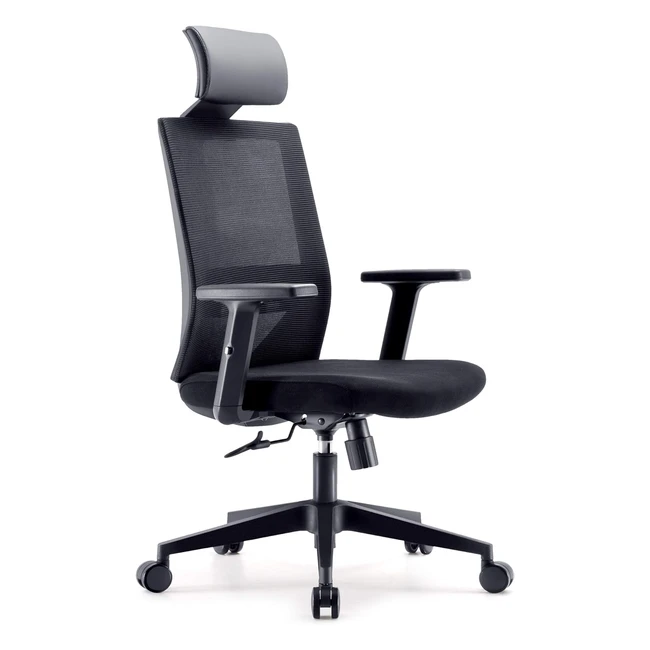 Sihoo Ergonomic Office Chair High Back with Lumbar Support and Adjustable Headre