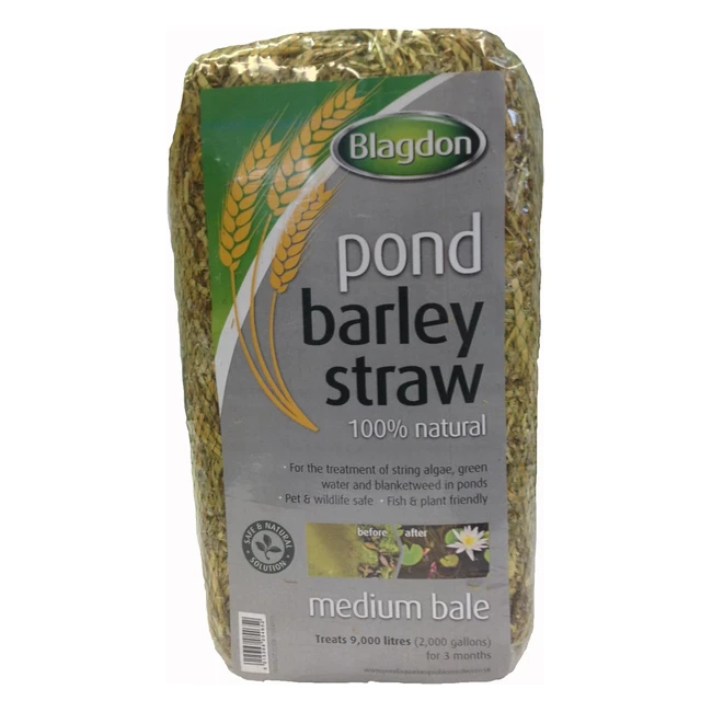Blagdon Pond Barley Straw Bale Medium - Clears Algae & Green Water - Natural Solution - Up to 9,000L