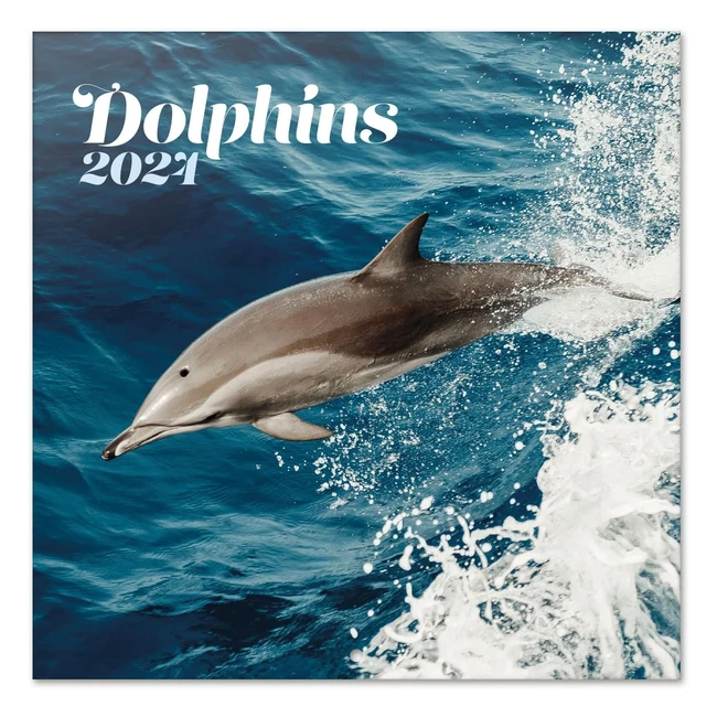 Calendario Pared Delfines 2024 Grupo Erik Planificador Mensual 30x30 cm