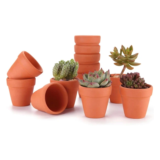 Vaso Terracotta Rosso 8cm Set 12 Fioriera Piante Miniatura Cactus Erbe Matrimonio Casa Ufficio