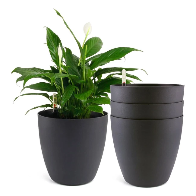 Vaso Autoirrigante Nero Plastica 22 cm Set 4 Piante Fiori Erbe Violette Africane