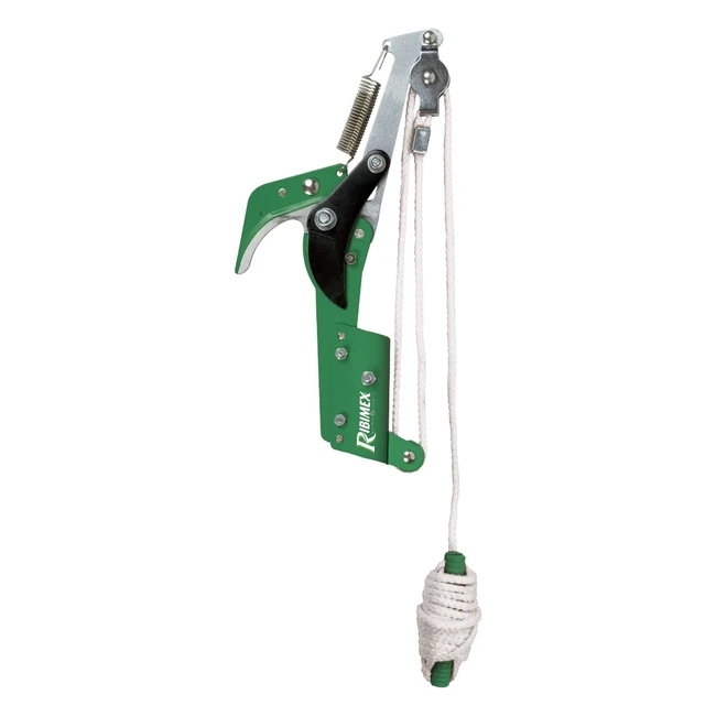 Ribiland Élagueur Echenilloir 10 Scie - Modèle Professionnel