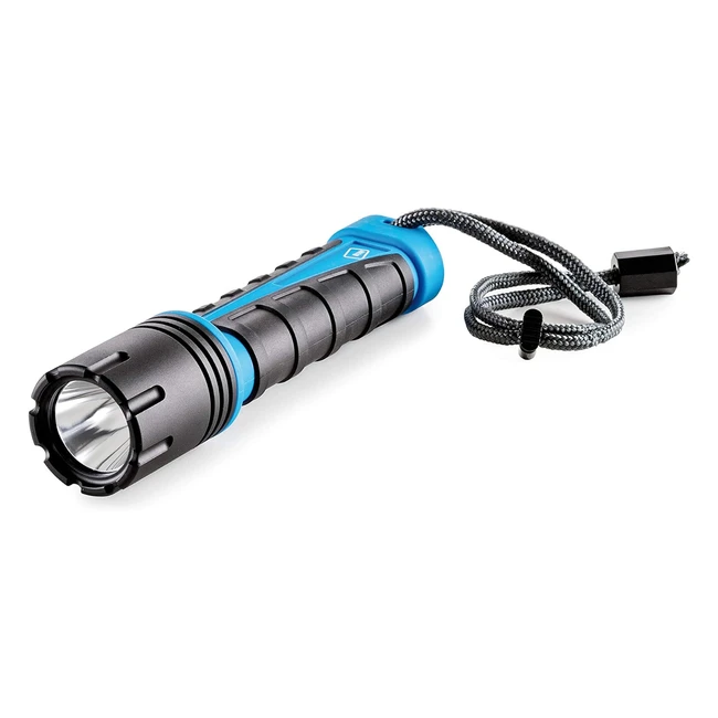 Handheld Taschenlampe LED 550 Lumen wiederaufladbar - BW Light Solutions