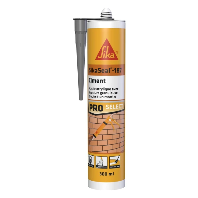 Mastic Acrylique Granuleux Sika Sikaseal187 - Idéal Petites Réparations Intérieur/Extérieur 300ml