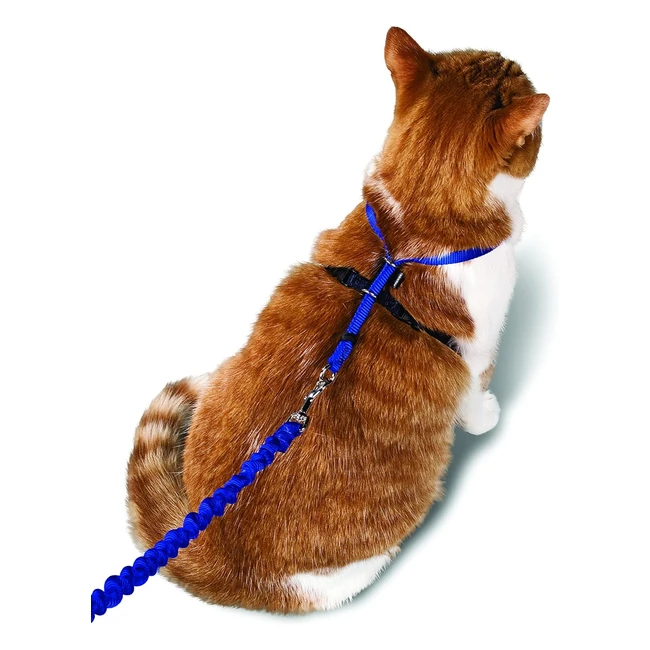 Harnais pour chats Petsafe Easy Walk avec laisse élastique - Taille réglable - Confortable