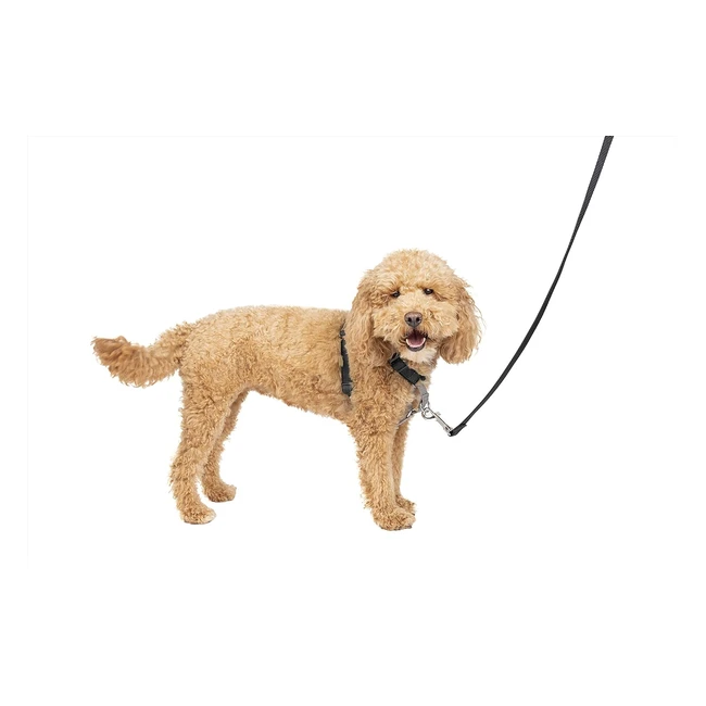 Harnais Petsafe 3en1 pour chien - Ceinture de sécurité voiture - Antitraction - Confortable - Noir